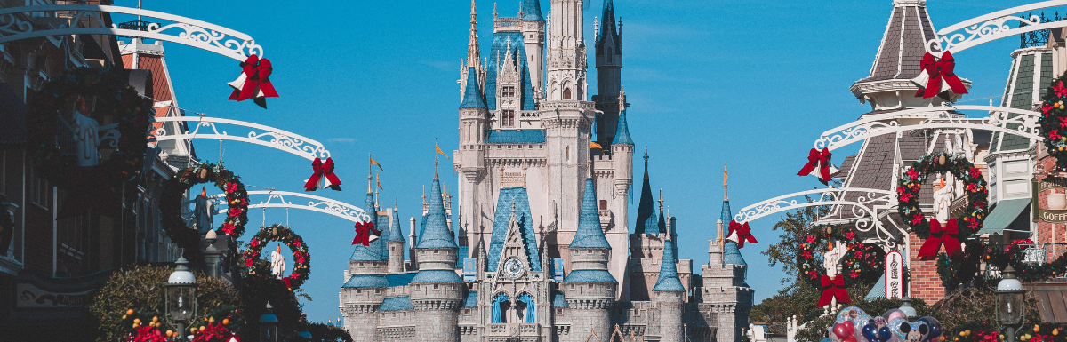 The Disney World Castle